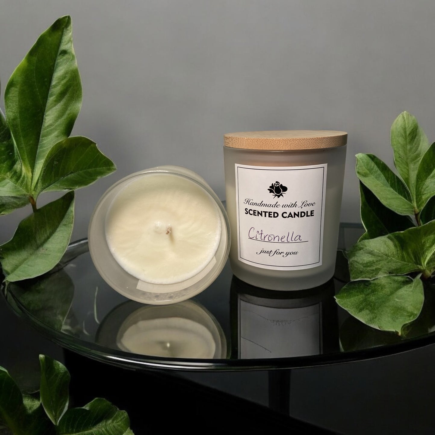 Citronella Candle – Fresh Lemon & Orange, Energizing Eucalyptus & Citronella for a Refreshing, Outdoor-Ready Scent
